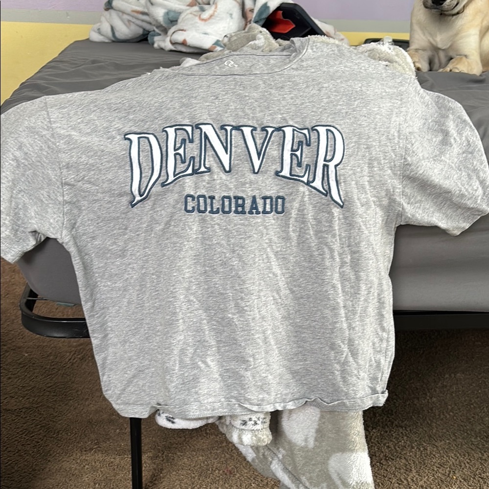 Gray Kids Shirt with Denver Print
